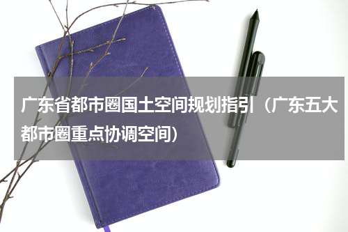 广东省都市圈国土空间规划指引（广东五大都市圈重点协调空间）
