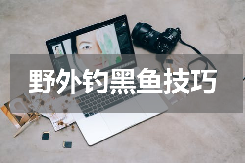 野外钓黑鱼技巧