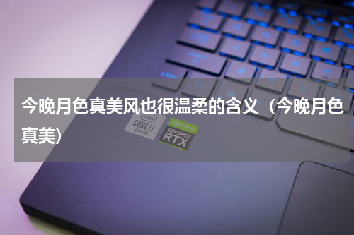 今晚月色真美风也很温柔的含义（今晚月色真美）