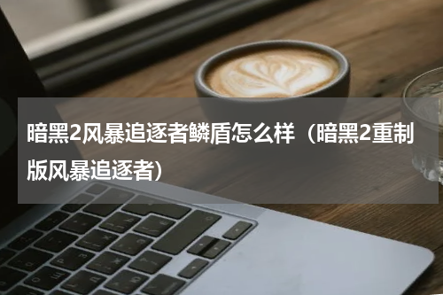 暗黑2风暴追逐者鳞盾怎么样（暗黑2重制版风暴追逐者）