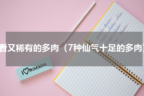 好看又稀有的多肉（7种仙气十足的多肉）
