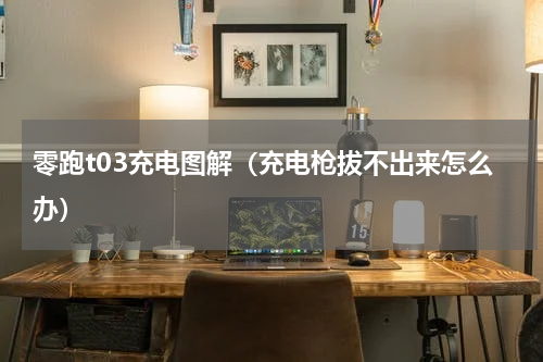 零跑t03充电图解（充电枪拔不出来怎么办）