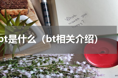 bt是什么（bt相关介绍）