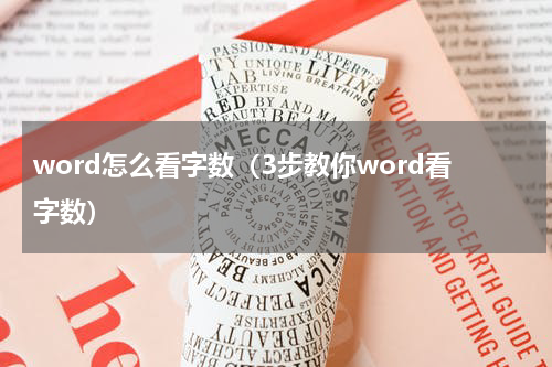 word怎么看字数（3步教你word看字数）