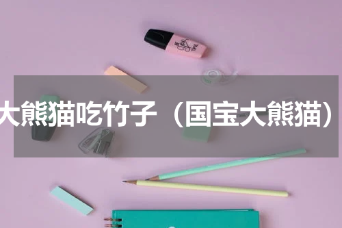 大熊猫吃竹子（国宝大熊猫）