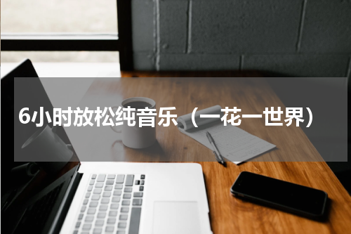 6小时放松纯音乐（一花一世界）
