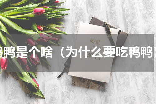 鸭鸭是个啥（为什么要吃鸭鸭）