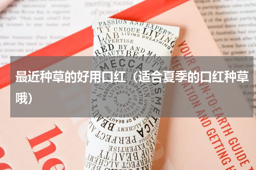 最近种草的好用口红（适合夏季的口红种草哦）