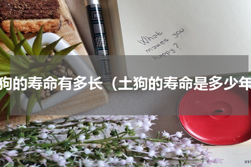 土狗的寿命有多长（土狗的寿命是多少年）