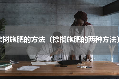 棕树施肥的方法（棕榈施肥的两种方法）