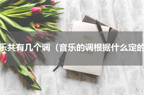 音乐共有几个调（音乐的调根据什么定的）