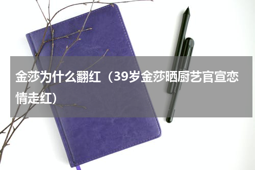 金莎为什么翻红（39岁金莎晒厨艺官宣恋情走红）