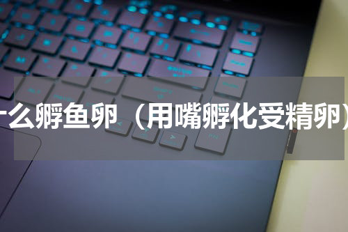 什么孵鱼卵（用嘴孵化受精卵）
