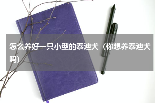 怎么养好一只小型的泰迪犬（你想养泰迪犬吗）