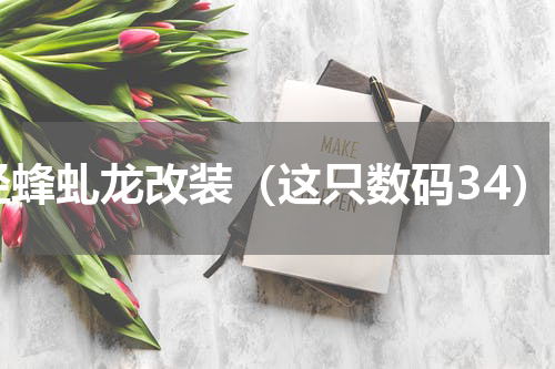 轻蜂虬龙改装（这只数码34）