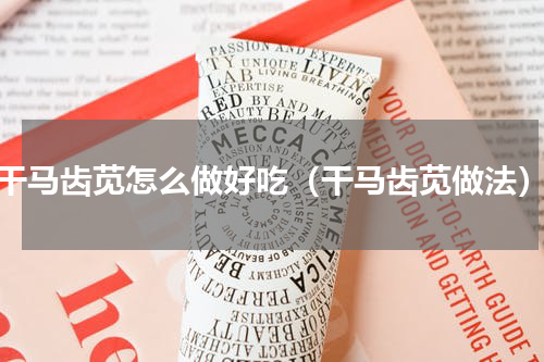 干马齿苋怎么做好吃（干马齿苋做法）