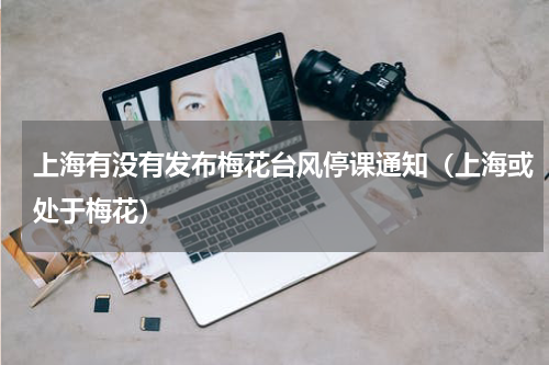 上海有没有发布梅花台风停课通知（上海或处于梅花）