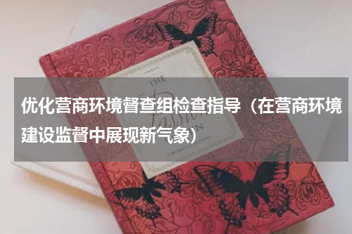 优化营商环境督查组检查指导（在营商环境建设监督中展现新气象）