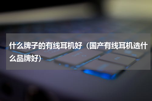 什么牌子的有线耳机好（国产有线耳机选什么品牌好）