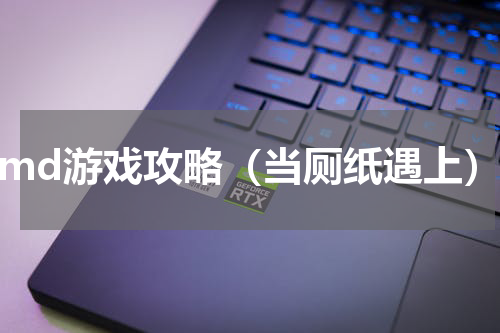dmd游戏攻略（当厕纸遇上）