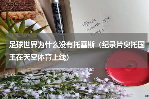 足球世界为什么没有托雷斯（纪录片奥托国王在天空体育上线）