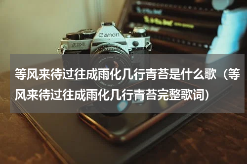 等风来待过往成雨化几行青苔是什么歌（等风来待过往成雨化几行青苔完整歌词）