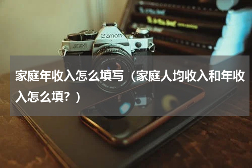 家庭年收入怎么填写（家庭人均收入和年收入怎么填？）