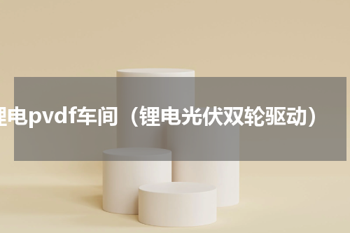 锂电pvdf车间（锂电光伏双轮驱动）