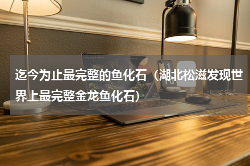 迄今为止最完整的鱼化石（湖北松滋发现世界上最完整金龙鱼化石）