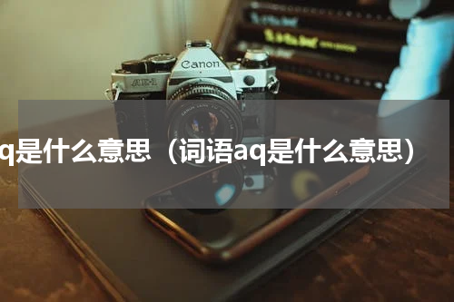 aq是什么意思（词语aq是什么意思）