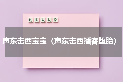声东击西宝宝（声东击西播客堕胎）