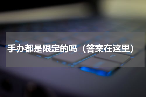 手办都是限定的吗（答案在这里）