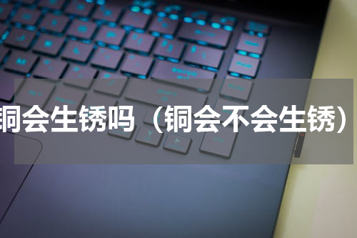 铜会生锈吗（铜会不会生锈）