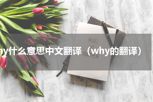 why什么意思中文翻译（why的翻译）