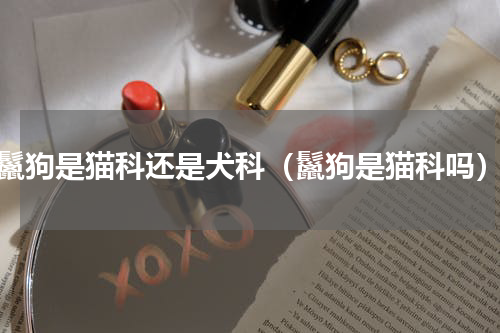 鬣狗是猫科还是犬科（鬣狗是猫科吗）
