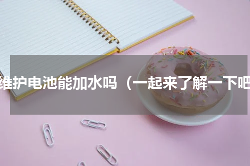 免维护电池能加水吗（一起来了解一下吧）