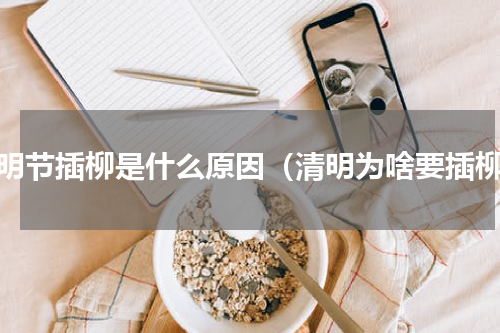 清明节插柳是什么原因（清明为啥要插柳）