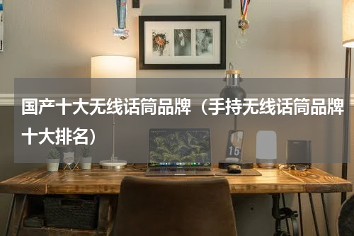 国产十大无线话筒品牌（手持无线话筒品牌十大排名）