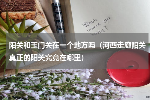 阳关和玉门关在一个地方吗（河西走廊阳关真正的阳关究竟在哪里）
