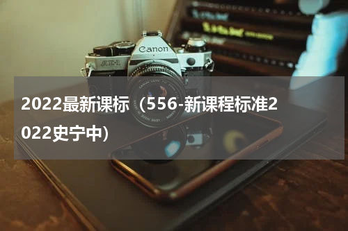 2022最新课标（556-新课程标准2022史宁中）