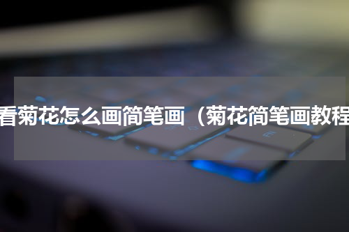 好看菊花怎么画简笔画（菊花简笔画教程）