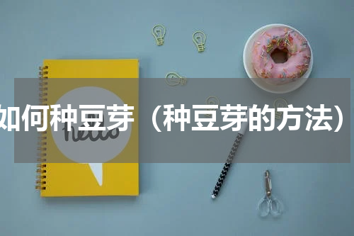 如何种豆芽（种豆芽的方法）