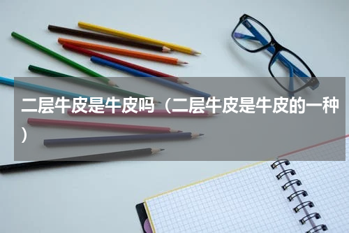 二层牛皮是牛皮吗（二层牛皮是牛皮的一种）