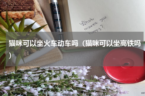 猫咪可以坐火车动车吗（猫咪可以坐高铁吗）