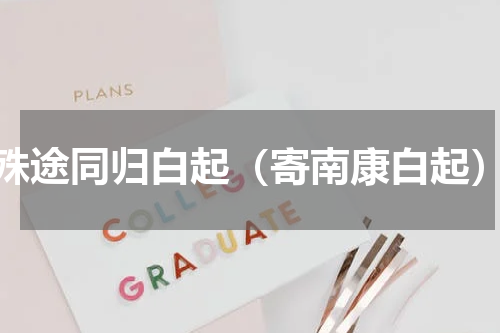 殊途同归白起（寄南康白起）