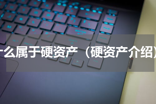 什么属于硬资产（硬资产介绍）