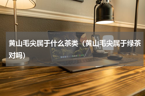 黄山毛尖属于什么茶类（黄山毛尖属于绿茶对吗）
