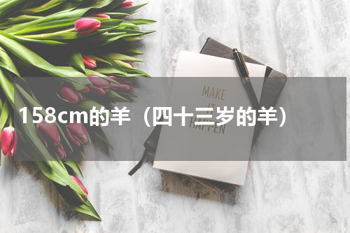 158cm的羊（四十三岁的羊）
