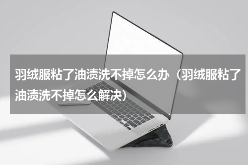 羽绒服粘了油渍洗不掉怎么办（羽绒服粘了油渍洗不掉怎么解决）