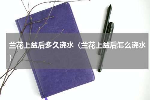 兰花上盆后多久浇水（兰花上盆后怎么浇水）